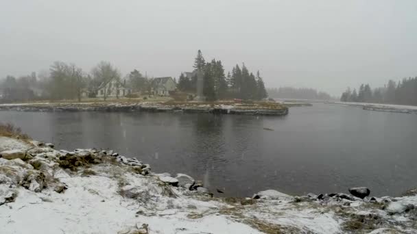 Sta Arrivando Una Tempesta Neve Scena Della Natura — Video Stock