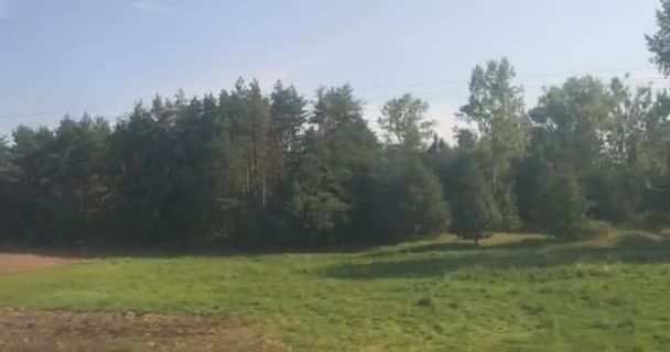 Wald Polen Während Einer Zugfahrt Nach Warschau — Stockvideo