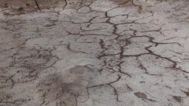 Close Salinidade Seca Sudeste Califórnia Devido Calor Perto Mar Salton — Vídeo de Stock