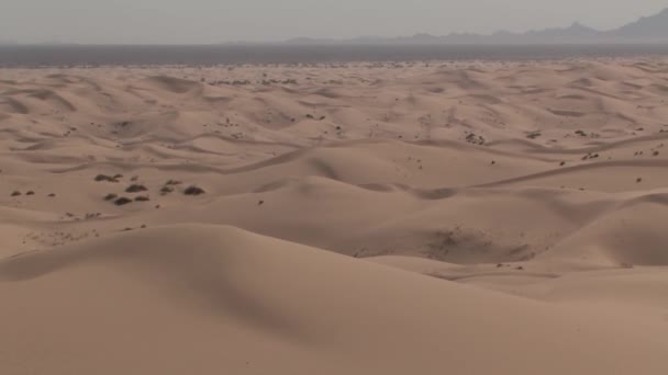 North Algodones Dunes Califórnia Calor Meio Dia Eua — Vídeo de Stock