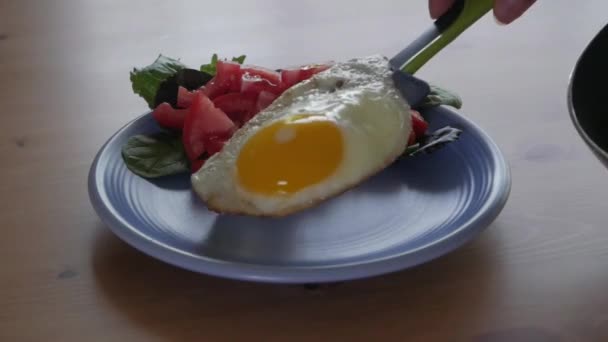 Servir Desayuno Con Tortilla Cerca — Vídeo de stock