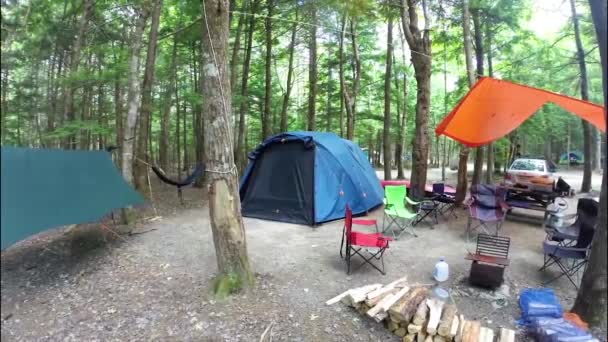 Tent Camping Een Nationaal Park — Stockvideo