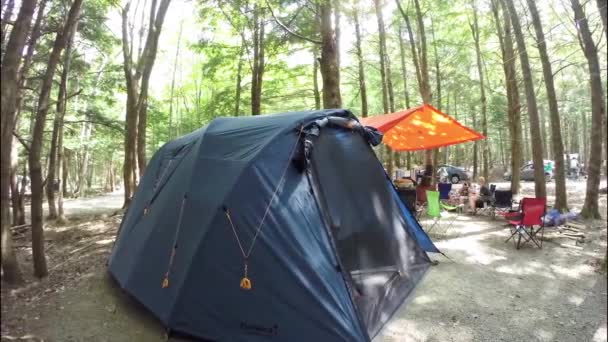 Tent Camping Een Nationaal Park — Stockvideo