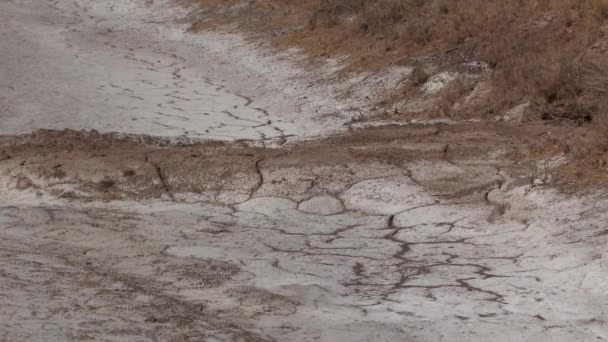 南加州萨尔顿海附近的热引起的干地盐度 — 图库视频影像