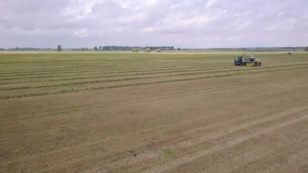 Maszyny Rolnicze Zbierające Pola Nagranie Dronów Zbiorów Nagranie Lotnicze Kombajnu — Wideo stockowe