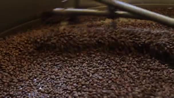 正在做的新鲜烤咖啡豆 — 图库视频影像