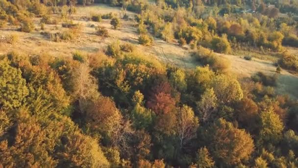 Drohnenflug Über Hügeln — Stockvideo