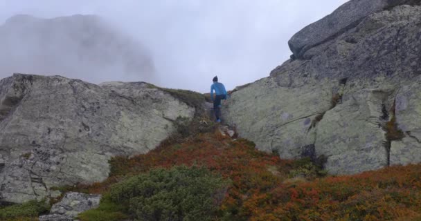 Νεαρός Περπατάει Στα Βουνά Μια Ωραία Φθινοπωρινή Μέρα Ομαλή Βολή — Αρχείο Βίντεο