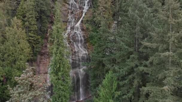 Drohne Flog Durch Baumwipfel Und Enthüllte Wunderschönen Wasserfall Berghang — Stockvideo