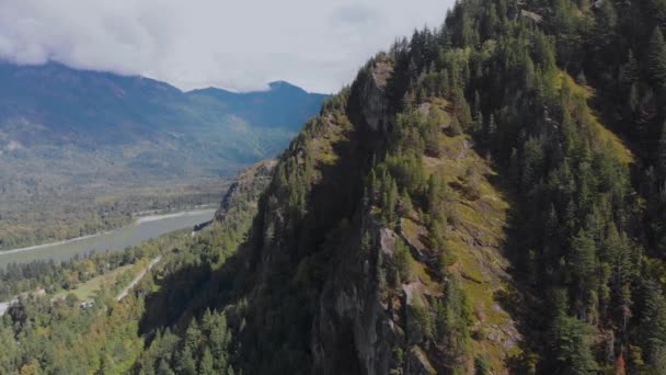 Aereo Drone Girato Volando Verso Alberi Sul Bordo Scogliera Rocciosa — Video Stock