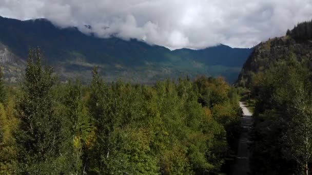 Drone Aéreo Disparado Voando Através Árvores Perto Montanhas Rodovia — Vídeo de Stock