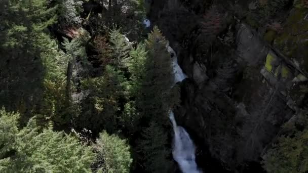 Drohnenschuss Aus Der Luft Rast Durch Bergwald Auf Wasserfall Der — Stockvideo