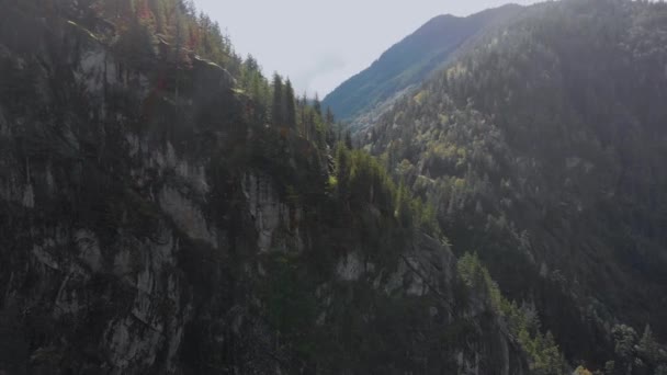 Uçan Dağ Yamacındaki Rocky Cliff Kenarındaki Uçan Ağaçlar Vurdu — Stok video
