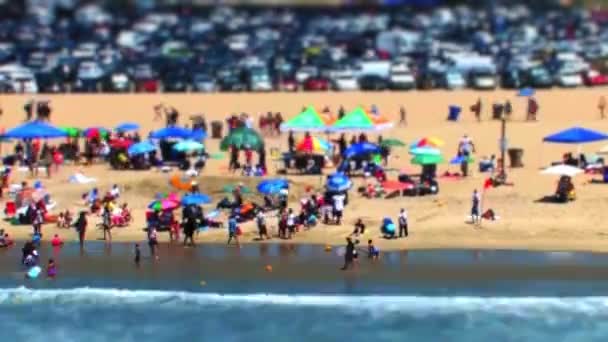夏を楽しむ多くのビーチ参加者と有名なサンタモニカビーチの美しい海岸沿いのショット — ストック動画