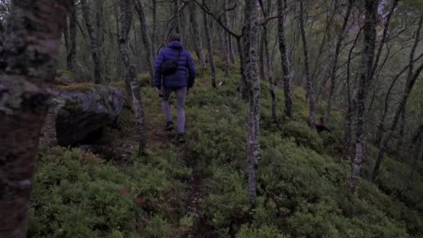 Пешие Прогулки Лесу Горной Местности Замедленное Движение Дневное Время Норвегия — стоковое видео