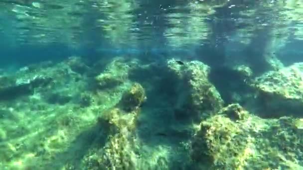 美しい海でのダイビング クロアチアの水中生活 — ストック動画
