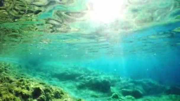 Dykning Det Vackra Havet Undervattensliv Kroatien — Stockvideo