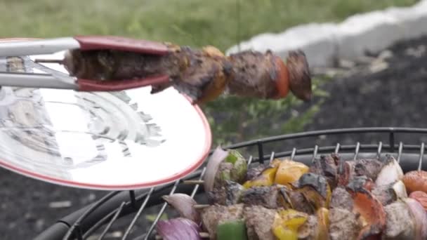 Zeitlupe Kochen Handhabung Von Verkohlten Steaks Paprika Und Zwiebeln Auf — Stockvideo