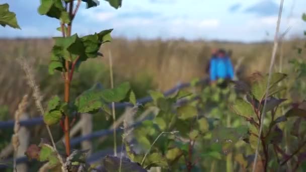 Turistvandring Längs Leden Sjön — Stockvideo