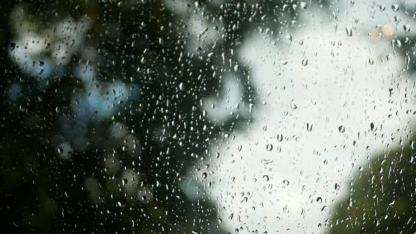 Дощ Падає Вікно — стокове відео