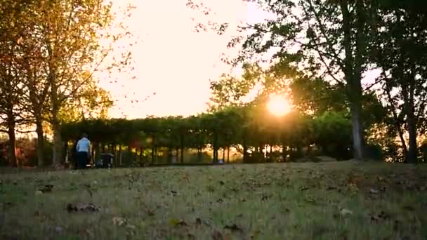 Par Promenader Parken Blåsig Solnedgång — Stockvideo