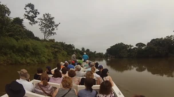 Turistas Barco Selva Belice — Vídeo de stock