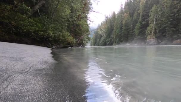 Río Rippling Cerca Orilla Columbia Británica Squamish — Vídeo de stock