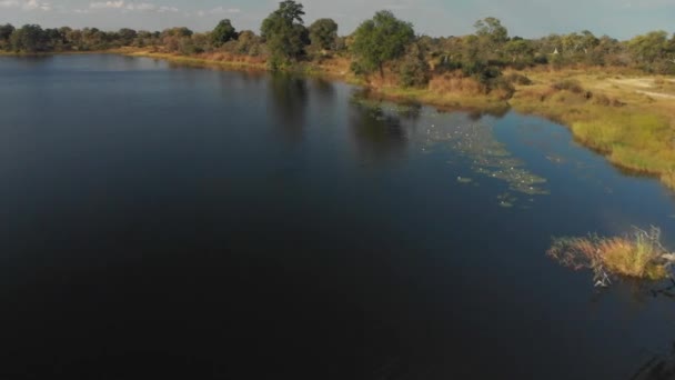 Plano Aéreo Vuelo Sobre Las Orillas Panorámicas Del Río Kwando — Vídeos de Stock