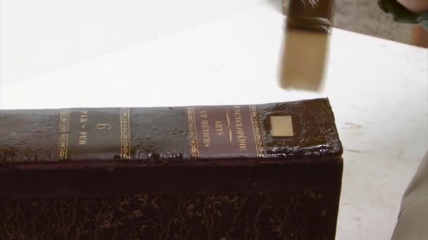Консервация Кожи Восстановления Старинной Книги — стоковое видео