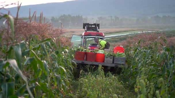 Cámara Moviéndose Hacia Tractor Tirando Una Cama Plana Cargada Con — Vídeos de Stock