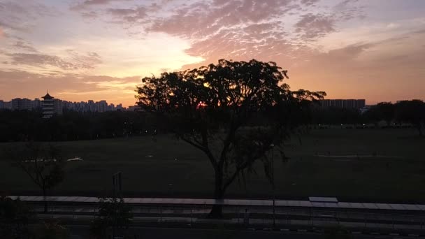 Drönare Syn Solnedgången Singapore Kinesiska Trädgården — Stockvideo