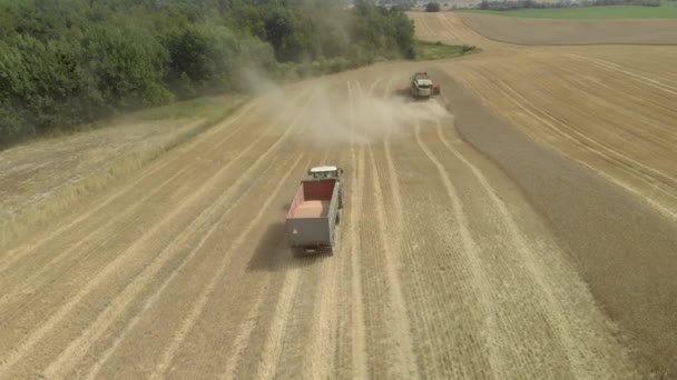 欧洲农场收获小麦的联合收割机的美丽的航拍镜头 — 图库视频影像