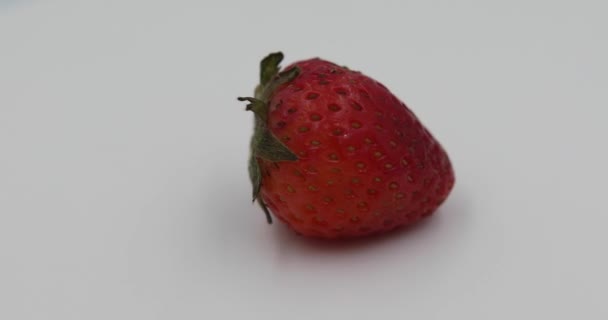 Red Strawberry Rotation Close — Stock Video