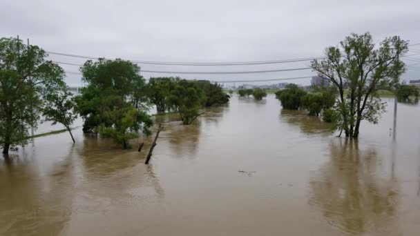 Dallas Flood 2018 — Video Stock