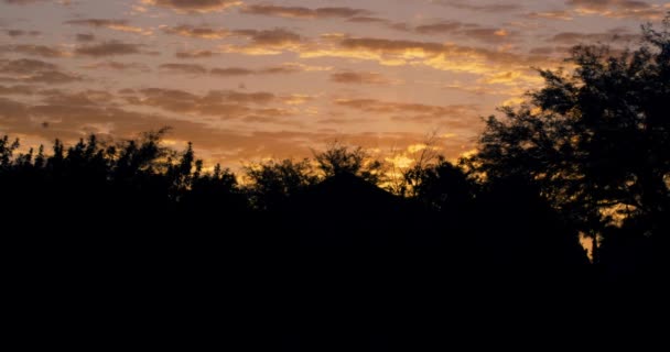 Sonnenaufgangspfanne Frühen Morgen — Stockvideo