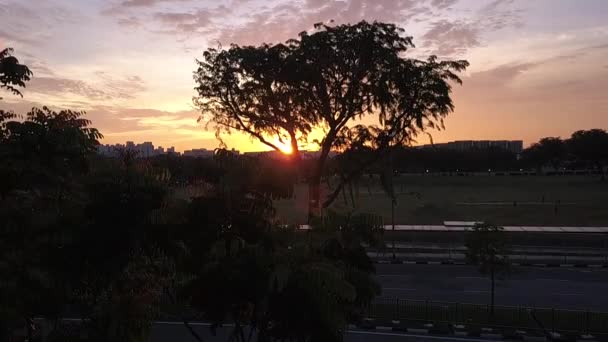 Vista Del Atardecer Jardín Chino Singapur — Vídeos de Stock