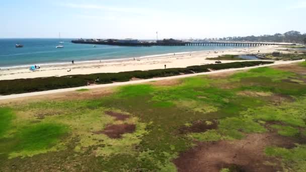 Flygskott Flyger Över Chase Palm Park Till Stearns Wharf Och — Stockvideo