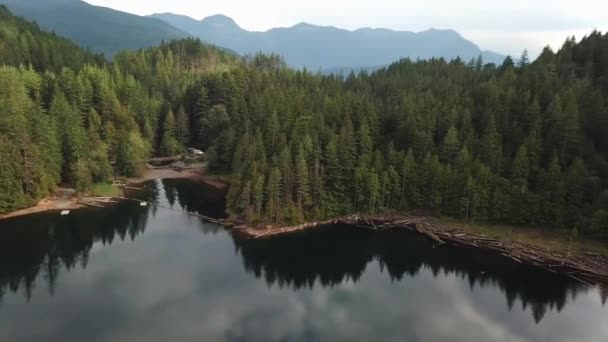 Drönare Bild Panoramautsikt Över Sjön Strandlinje Full Flytande Stockar Och — Stockvideo