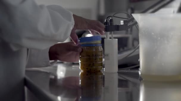 Med Hjälp Datoriserade Apparater Kontrollerar Livsmedelsforskare Kvaliteten Ett Laboratorium — Stockvideo