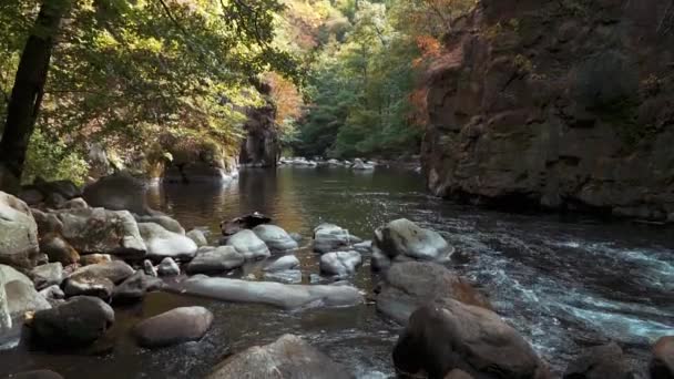 Natur Bachlandschaft Landschaft Mit Farben Des Herbstes Felsen Flussbett Das — Stockvideo