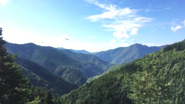 標高2200Mのアルプスの山 曇り空の日には緑のグラウや木が植えられています — ストック動画