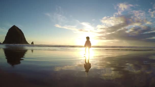 Маленька Дівчинка Стоїть Пляжі Перед Заходом Сонця Поруч Хейстек Рок — стокове відео