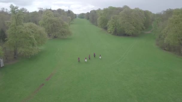 Pferde Galoppieren Landschaft Zeigen — Stockvideo