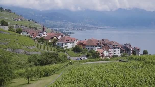 Luftaufnahme Eines Typischen Dorfes Weinberg Von Lavaux Schweiz Ortsname Rivaz — Stockvideo