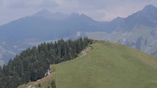 Arka Planda Dağ Zirveleriyle Tepenin Etrafında Daireler Çiziyor Fribourg Sviçre — Stok video