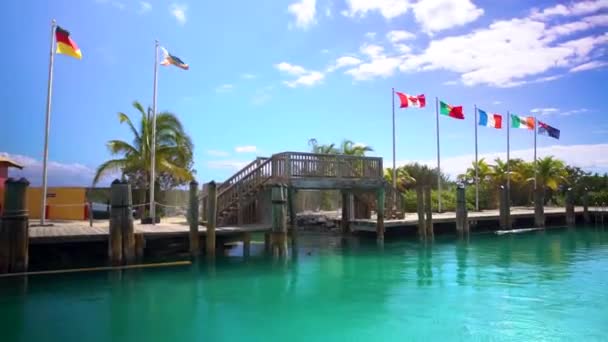 Muelle Barcos Lleno Banderas Multinacionales Todo Mundo — Vídeo de stock