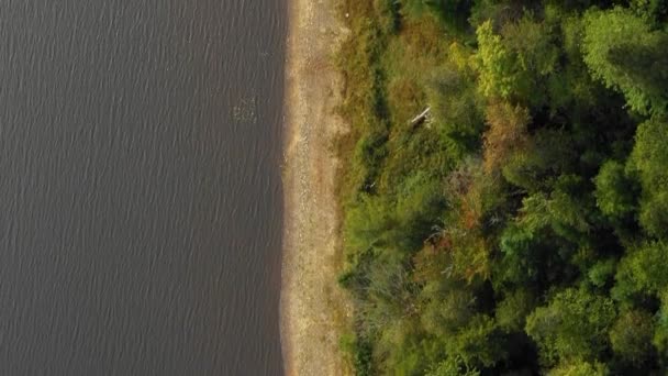 北の辺ぴな湖の空中映像メイン州はゆっくりと草の茂った海岸に沿って飛んでいくトップダウン — ストック動画