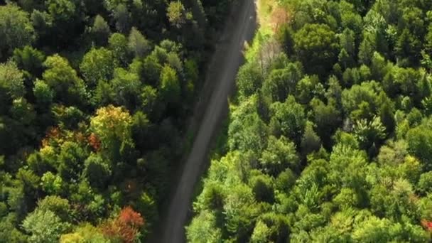 Εναέρια Πλάνα Του Απομακρυσμένου Δάσους Στο Βόρειο Maine Top Close — Αρχείο Βίντεο