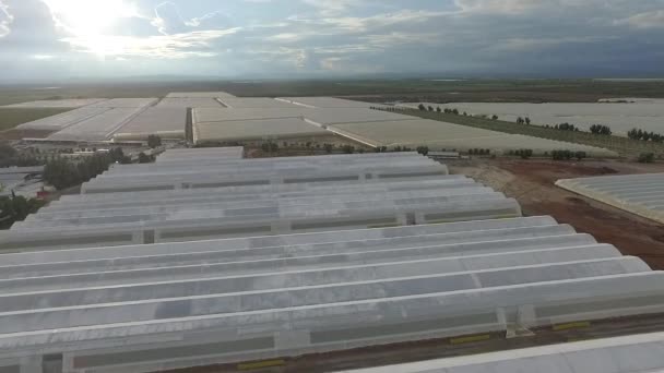 Mexican Landscape Nursery Varietys Vegetable Shot Dji Drone Can See — Stock Video