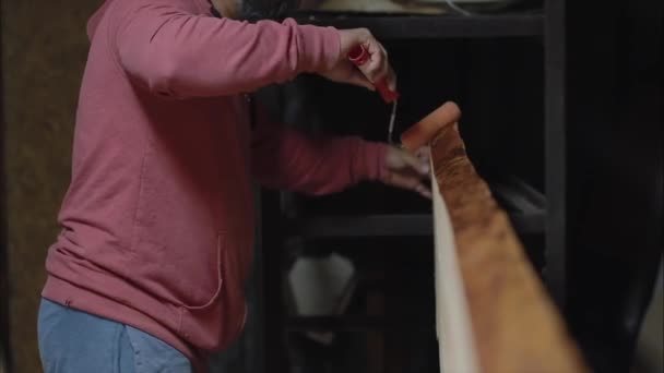 Menuisier Expérimenté Appliquant Une Couche Vernis Sur Une Planche Bois — Video